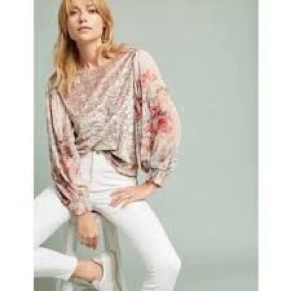 Anthropologie Meadow Rue Crushed Velvet Sheer Floral Long Sleeve Top